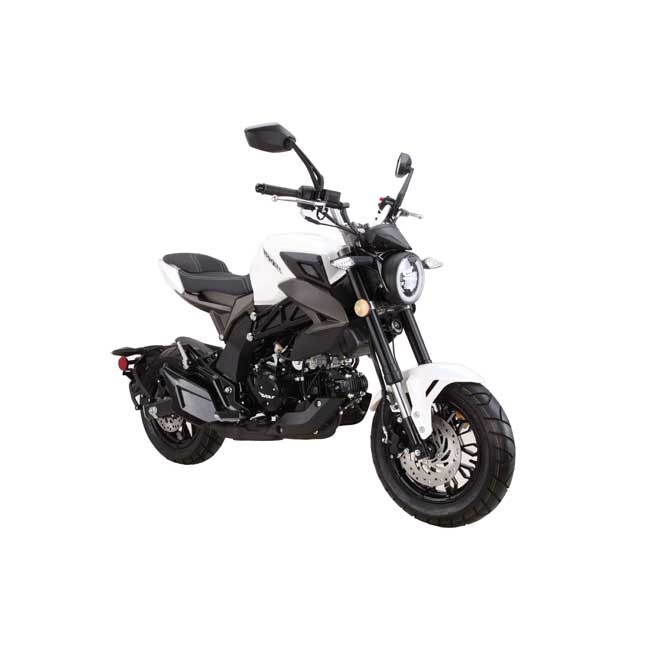 Wolf Striker 125CC Mini Moto Salento Scooters